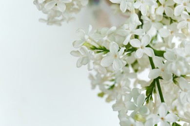 Photo of Beautiful lilac flowers on light background, closeup. Space for text