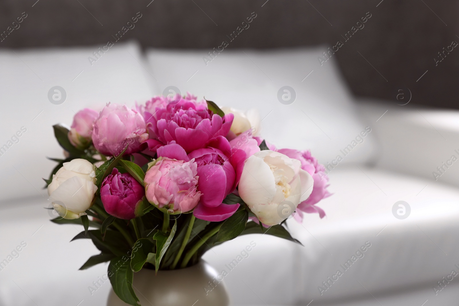 Photo of Vase with bouquet of beautiful peonies in room, space for text