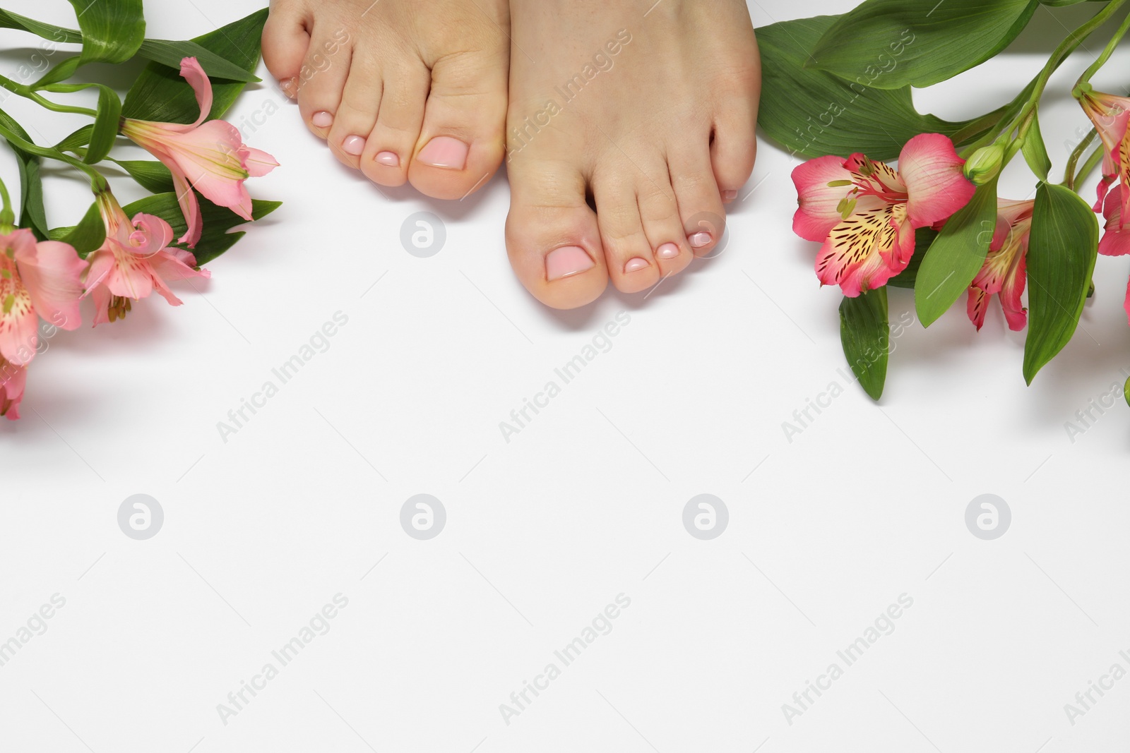 Photo of Closeup of woman with neat toenails after pedicure procedure on white background, top view. Space for text