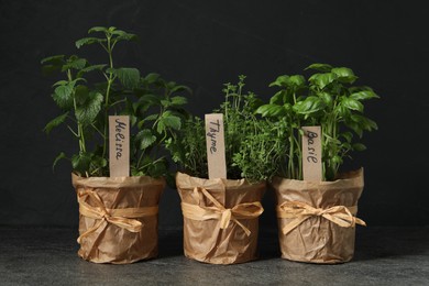 Different aromatic potted herbs on black textured table