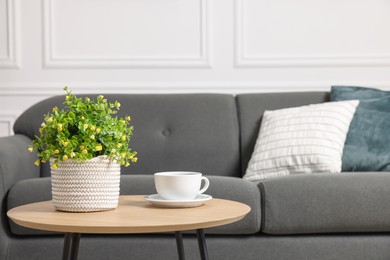 Photo of Potted artificial plant and cup of drink on coffee table near sofa indoors. Space for text