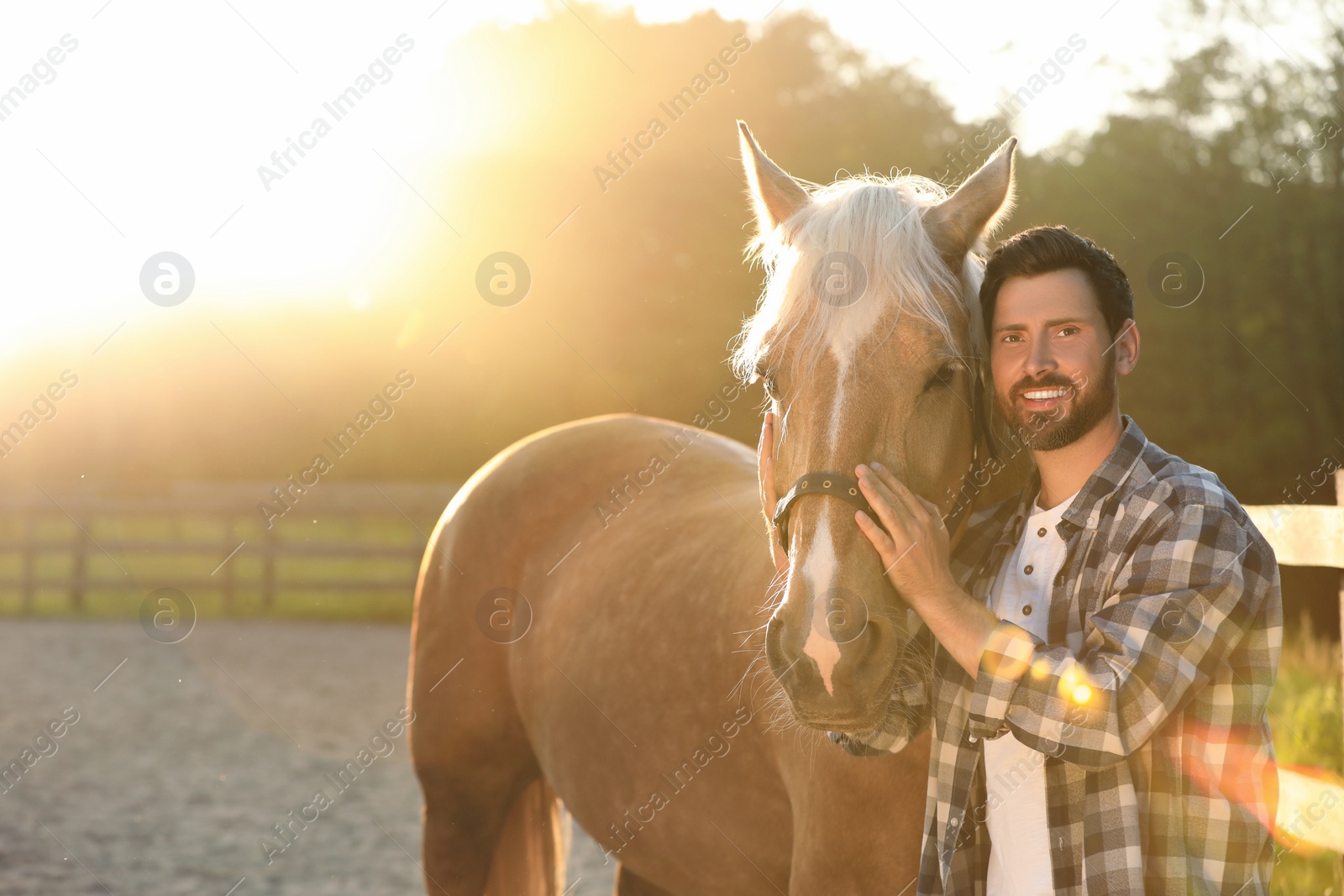 Photo of Man with adorable horse outdoors on sunny day. Lovely domesticated pet