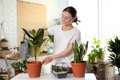 Photo of Young woman watering potted plant at home