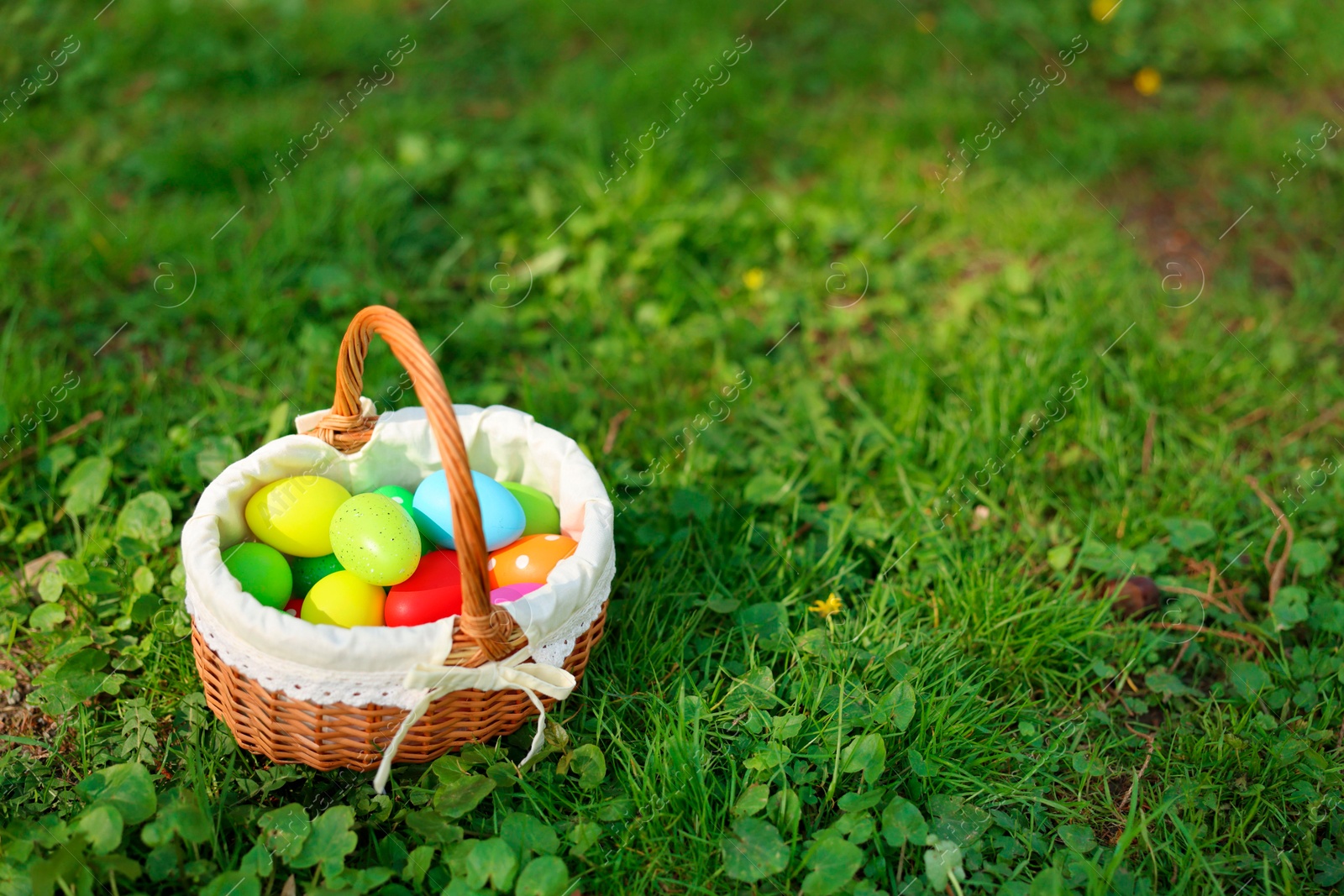 Photo of Easter celebration. Painted eggs in wicker basket on green grass, space for text