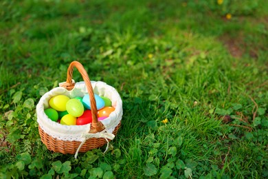 Easter celebration. Painted eggs in wicker basket on green grass, space for text