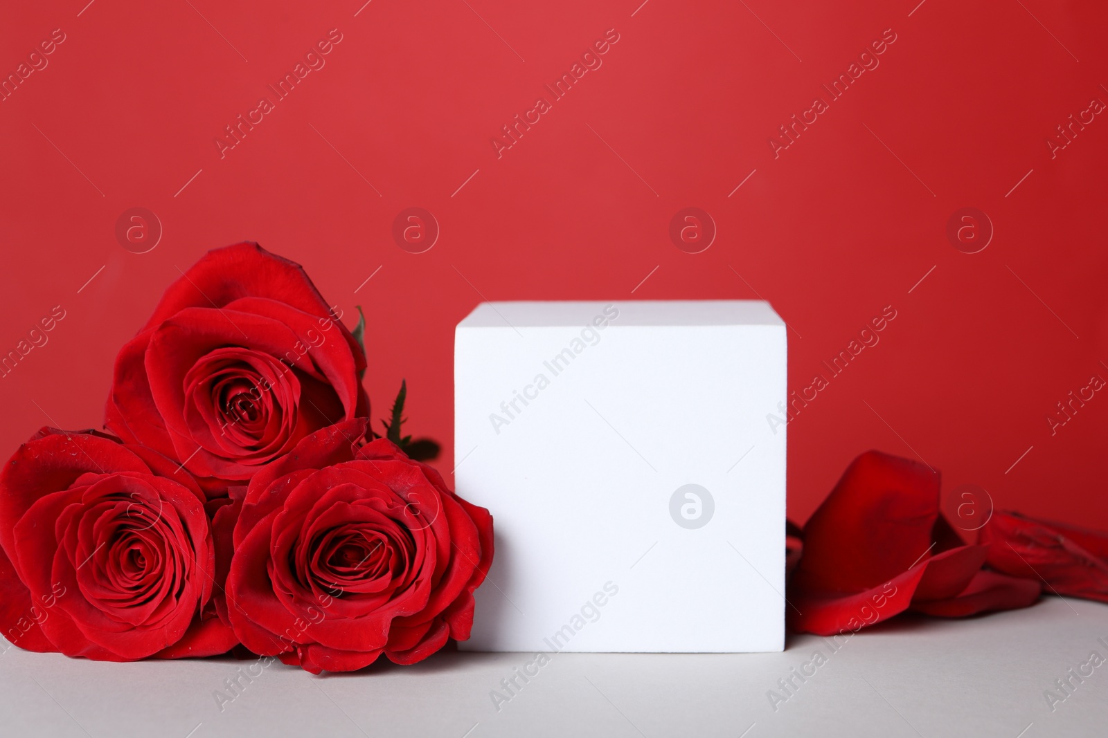 Photo of Stylish presentation for product. Cube, beautiful roses and petals on white table against red background