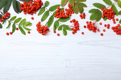 Fresh ripe rowan berries and green leaves on white wooden table, flat lay. Space for text