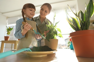 Photo of Mother and daughter taking care of home plants at table indoors