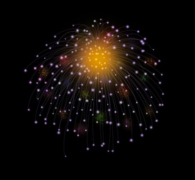 Beautiful bright firework on black background, illustration