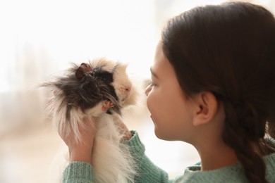 Little girl with guinea pig at home, closeup. Childhood pet