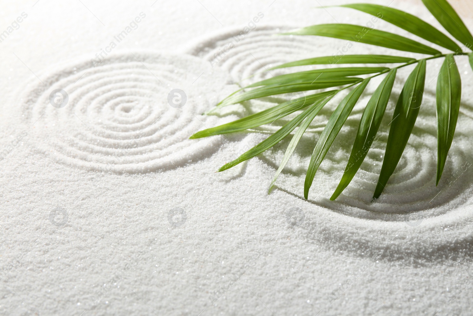 Photo of Zen rock garden. Circle patterns on white sand and green leaf, closeup. Space for text