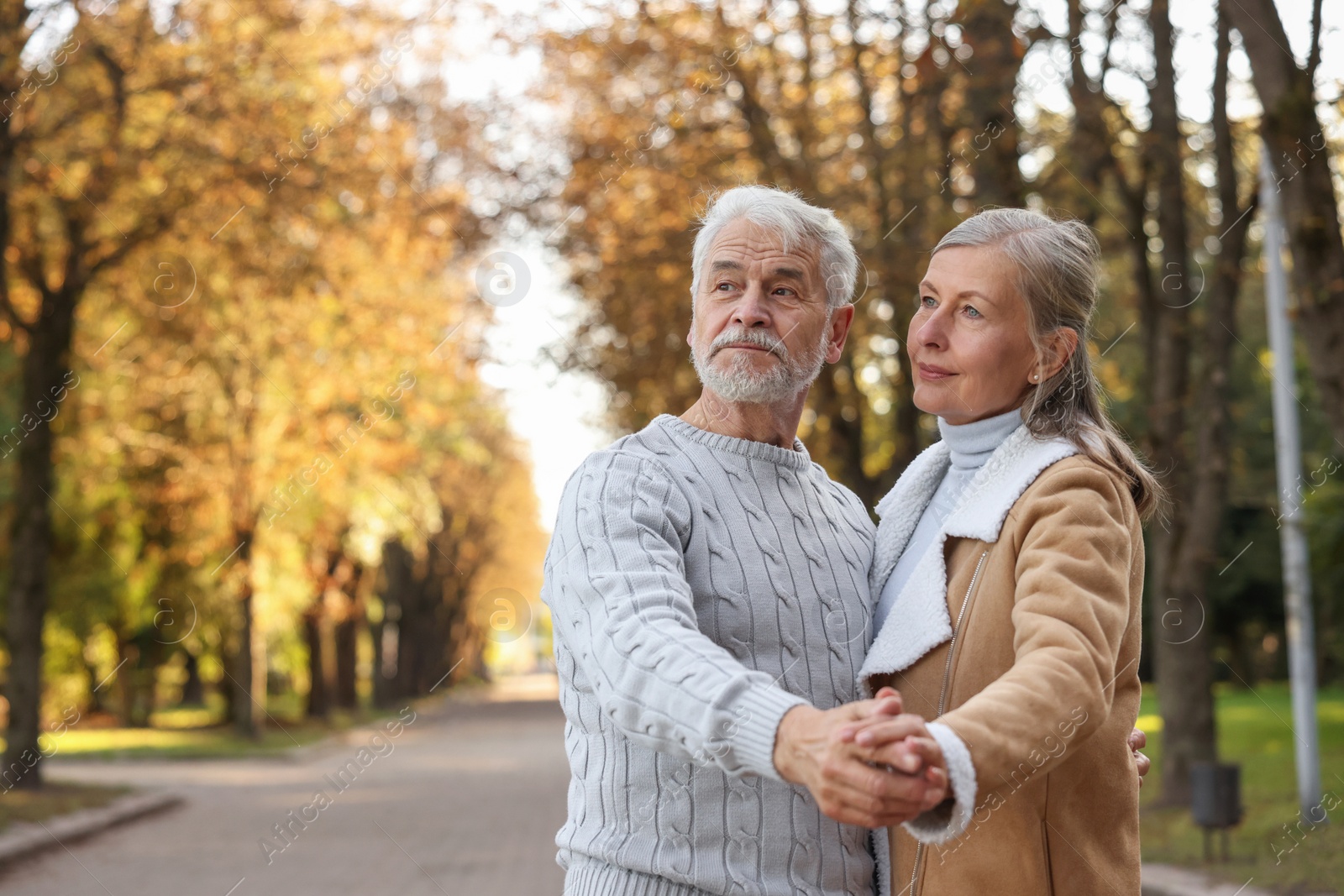 Photo of Affectionate senior couple dancing together in autumn park, space for text