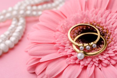 Photo of Elegant pearl rings, necklace and gerbera flower on pink background, closeup