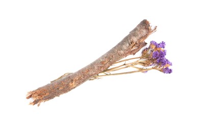 Photo of Dry tree twig and flowers on white background, top view