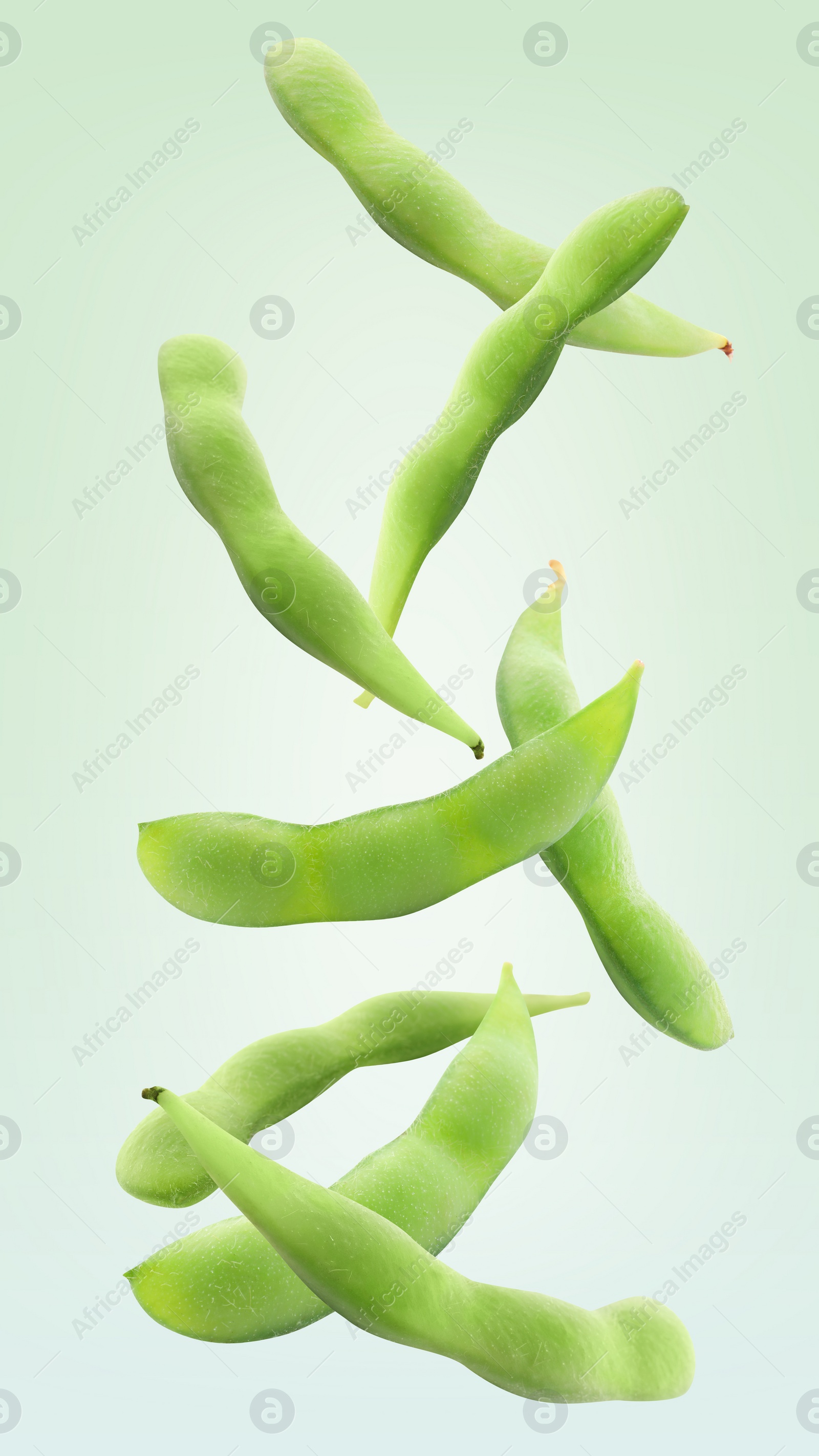 Image of Raw green edamame pods falling on light aquamarine background