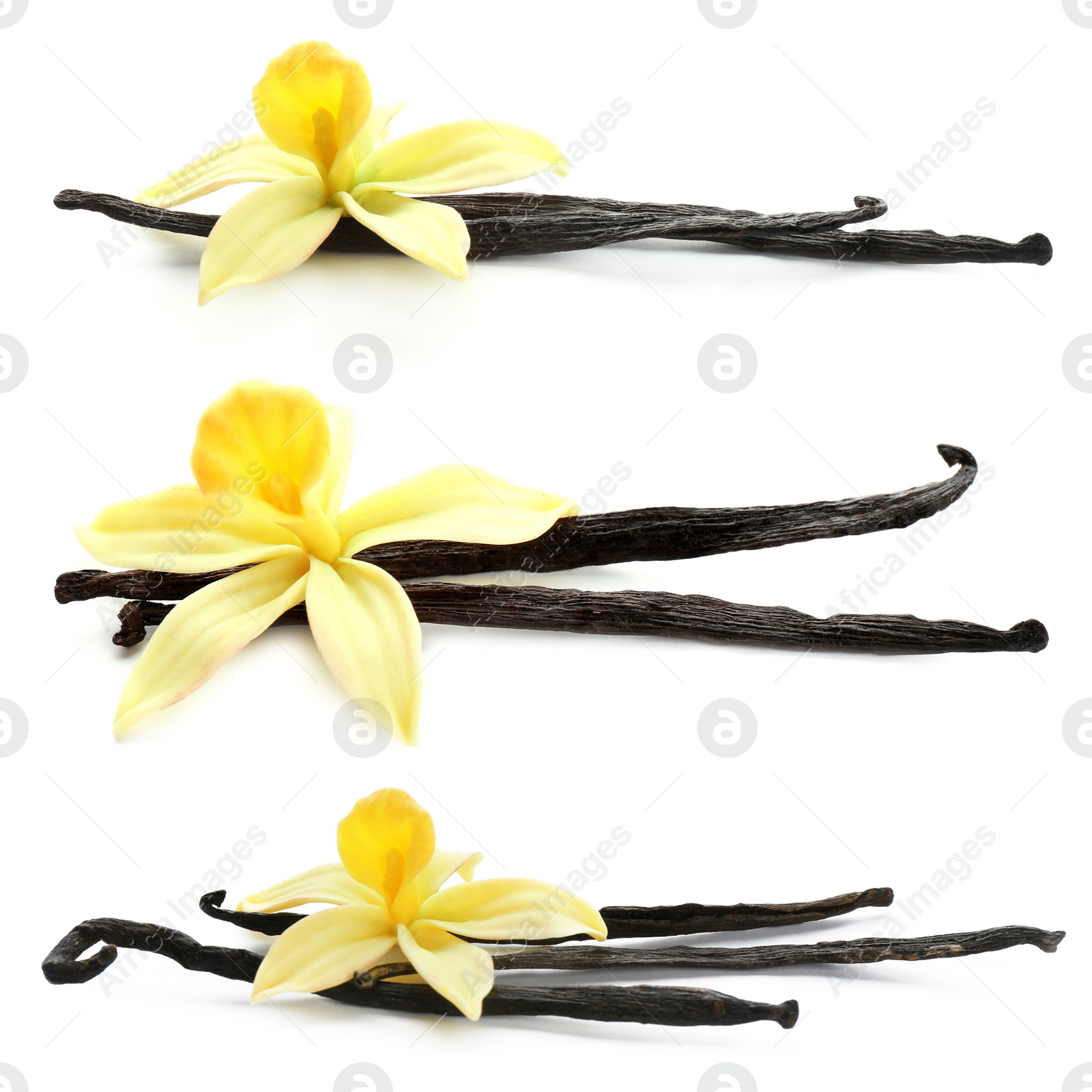 Image of Set with aromatic vanilla pods and flowers on white background