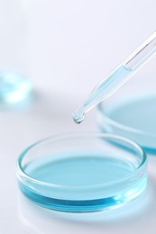 Dripping liquid from pipette into petri dish at white table, closeup. Laboratory analysis