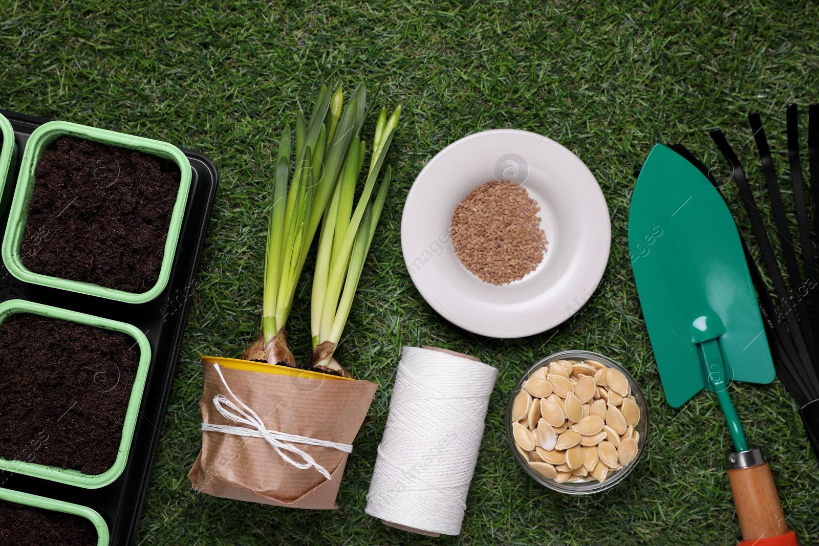 Photo of Flat lay composition with vegetable seeds and gardening tools on green grass