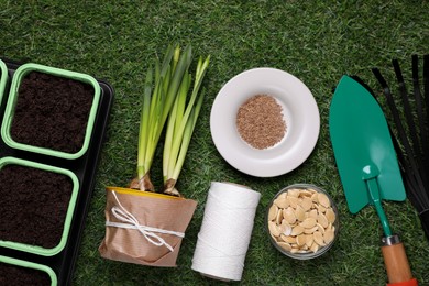 Flat lay composition with vegetable seeds and gardening tools on green grass