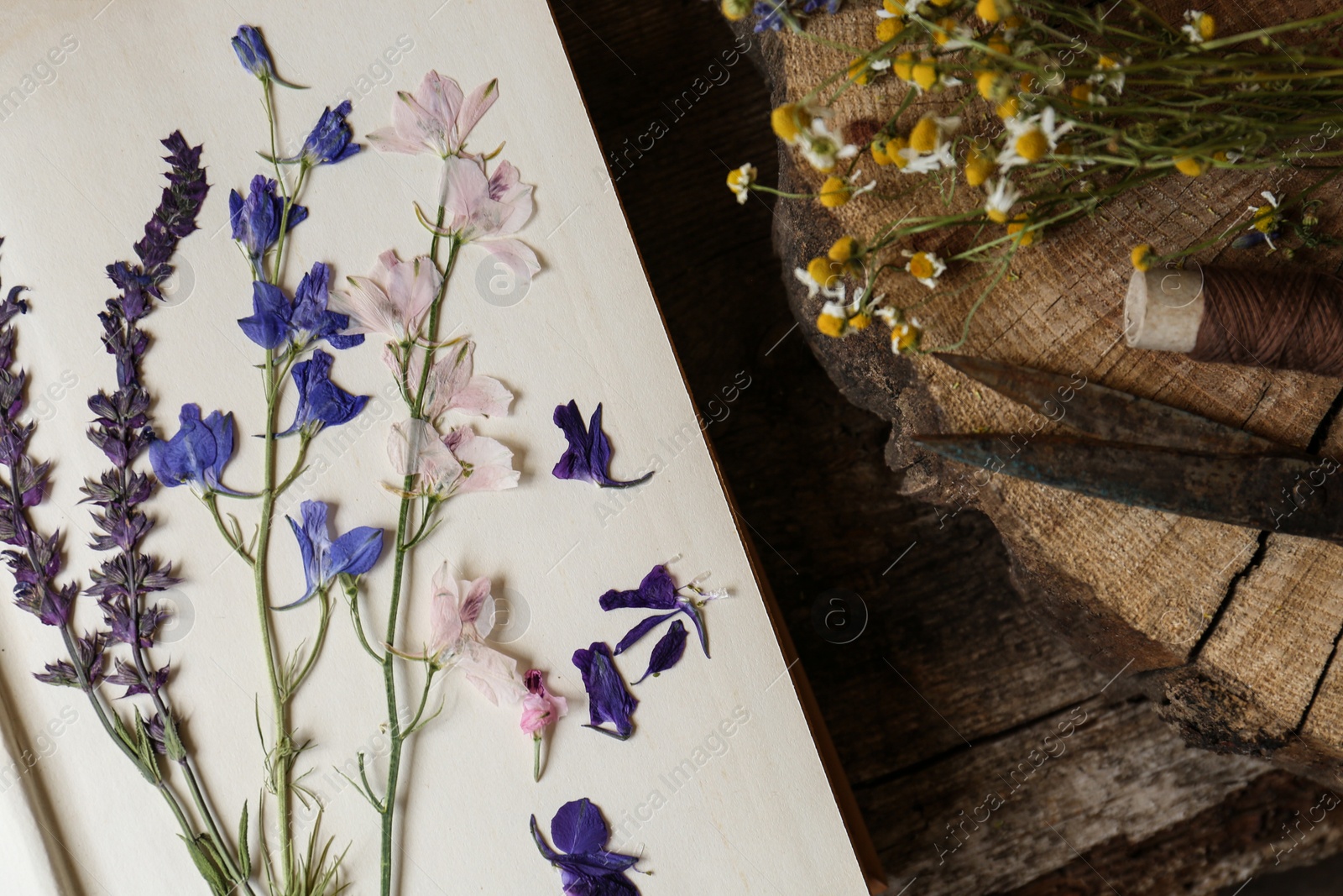 Photo of Composition with beautiful dried flowers and book on wooden table, top view