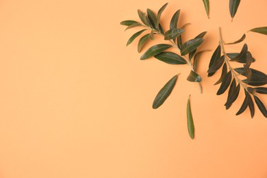 Photo of Olive twigs with fresh green leaves on pale orange background, flat lay. Space for text