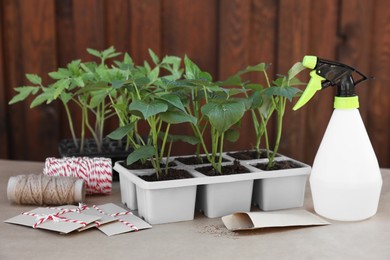 Photo of Seedlings growing in plastic containers with soil, spray bottle and seeds on table