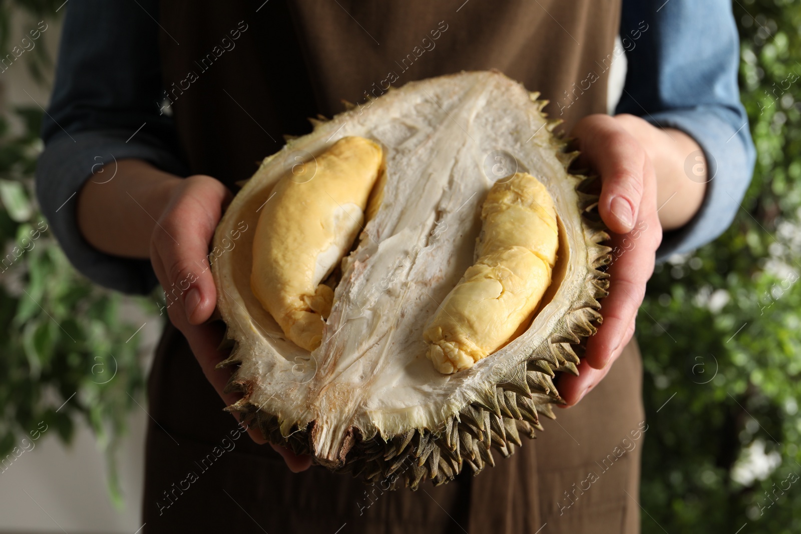 Photo of Woman holding half of ripe durian fruit on blurred background, closeup