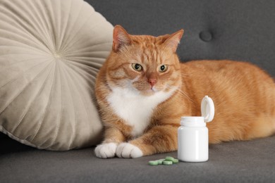 Photo of Cute ginger cat and vitamin pills on couch indoors