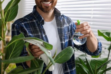 Man spraying beautiful potted houseplants with water indoors, closeup