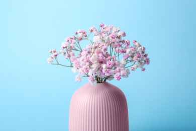 Photo of Beautiful dyed gypsophila flowers in pink vase on light blue background