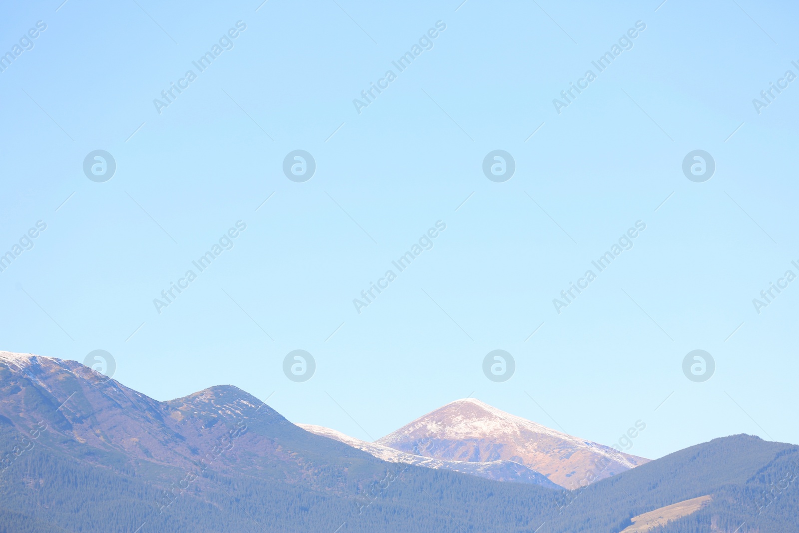 Photo of Aerial view of beautiful mountain landscape with forest and snow