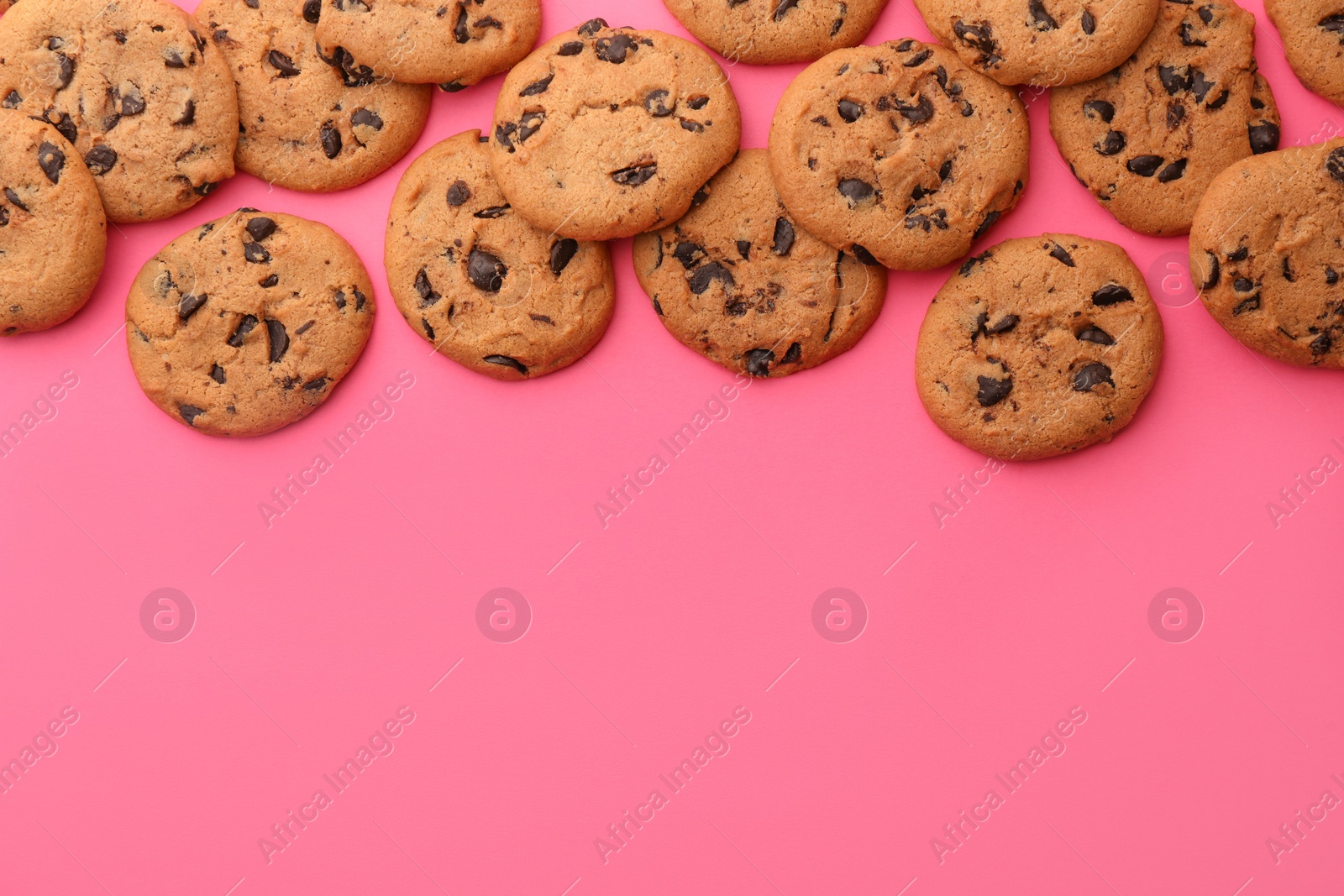 Photo of Many delicious chocolate chip cookies on pink background, flat lay. Space for text