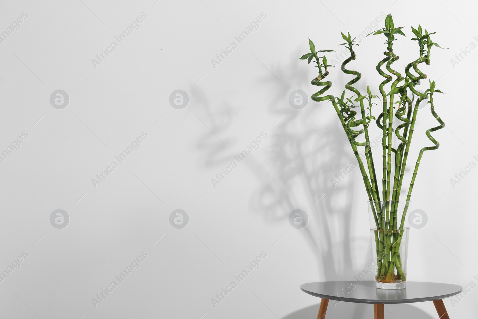 Photo of Vase with green bamboo on table against light background. Space for text