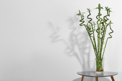 Photo of Vase with green bamboo on table against light background. Space for text