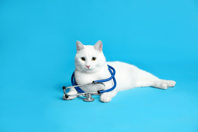Cute cat with stethoscope as veterinarian on light blue background