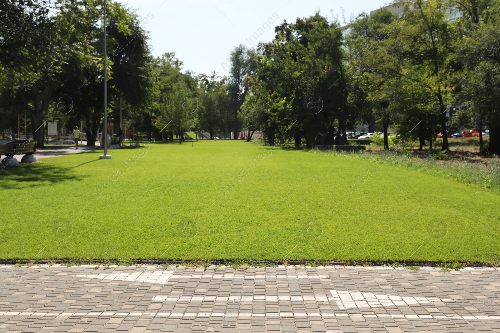 Photo of Bicycle lane with marking near park on sunny day