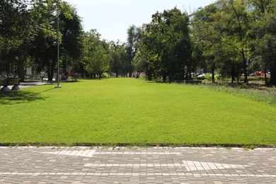 Photo of Bicycle lane with marking near park on sunny day