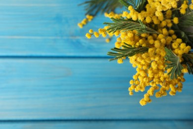 Beautiful mimosa flowers on light blue wooden table, top view. Space for text