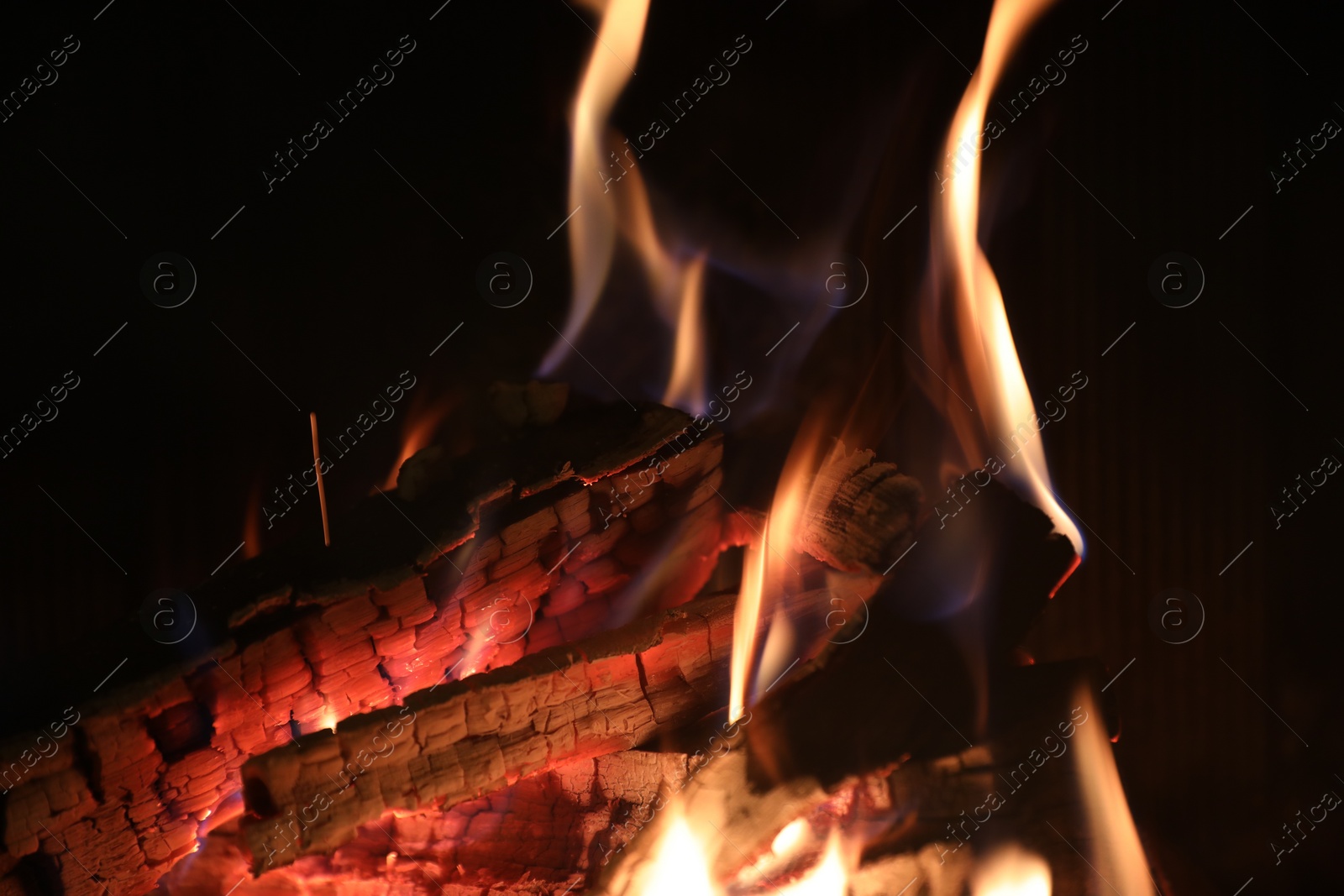 Photo of Bonfire with burning firewood on dark background, closeup