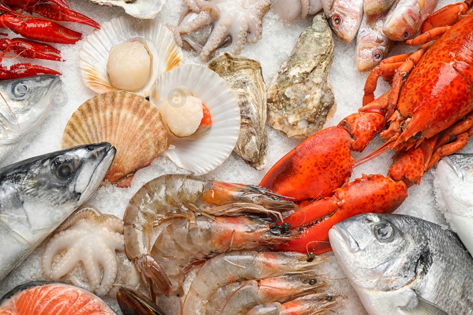 Photo of Fresh fish and seafood on ice, flat lay