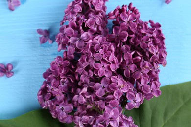 Beautiful lilac flowers on light blue wooden table, flat lay