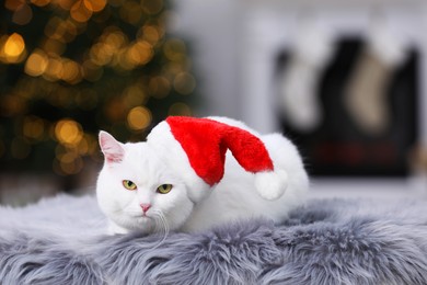Photo of Adorable cat wearing Christmas hat on fur rug indoors