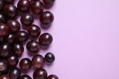 Fresh ripe juicy grapes on pink background, flat lay. Space for text