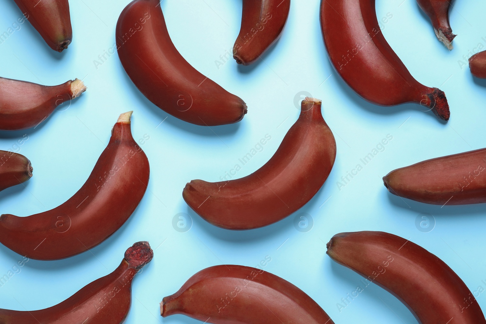 Photo of Tasty red baby bananas on light blue background, flat lay