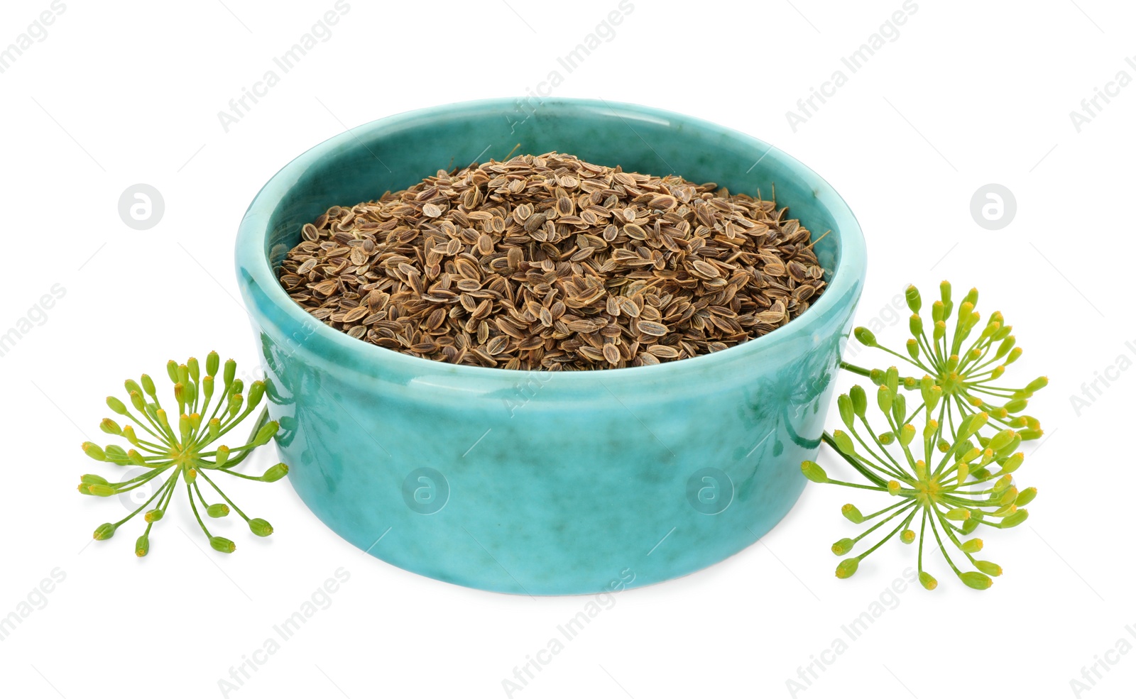 Photo of Bowl of dry seeds and fresh dill isolated on white