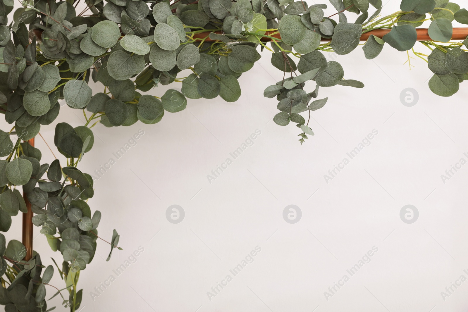 Photo of Frame with green leaves on white background. Stylish photo zone