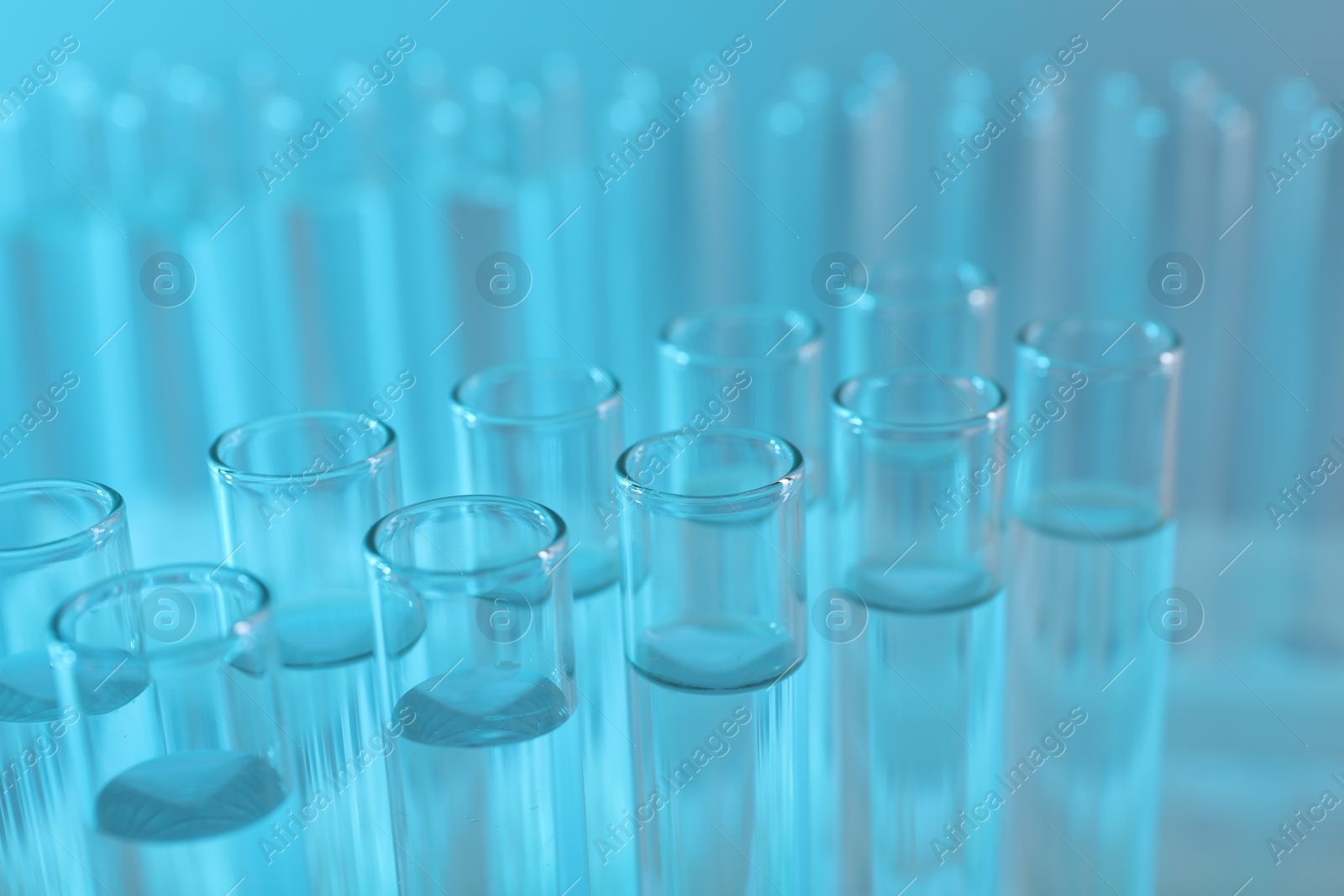 Photo of Laboratory analysis. Many glass test tubes on light blue background, closeup