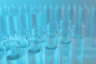 Photo of Laboratory analysis. Many glass test tubes on light blue background, closeup