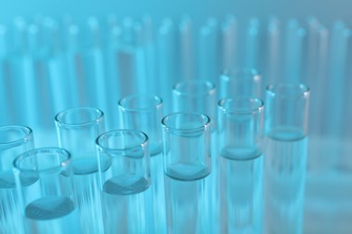 Laboratory analysis. Many glass test tubes on light blue background, closeup