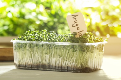 Sprouted arugula seeds in plastic container on white wooden table